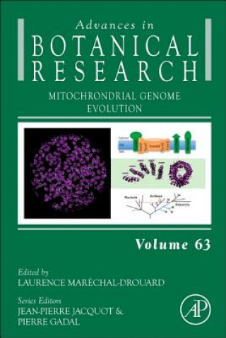 Mitochondrial Genome Evolution
