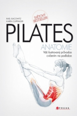 Pilates anatomie
