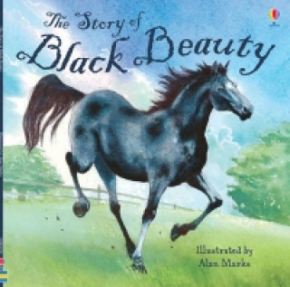 Story of Black Beauty