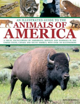 Illustrated Guide to the Animals of America