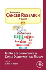 Role of Sphingolipids in Cancer Development and Therapy