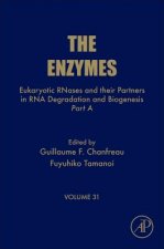 Eukaryotic RNases and their Partners in RNA Degradation and Biogenesis