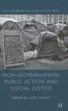 Non-Governmental Public Action and Social Justice