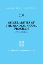 Singularities of the Minimal Model Program