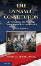 Dynamic Constitution
