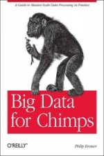 Big Data for Chimps