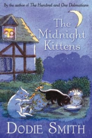 Midnight Kittens