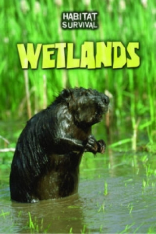 Wetlands