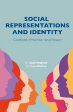 Social Representations and Identity