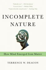 Incomplete Nature