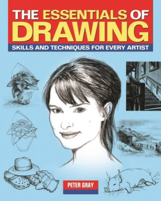 Essentials of Drawing
