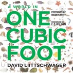 World in One Cubic Foot