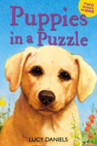 Puppies in a Puzzle (Dalmatian in the Dales & Labrador on th