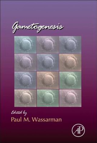 Gametogenesis