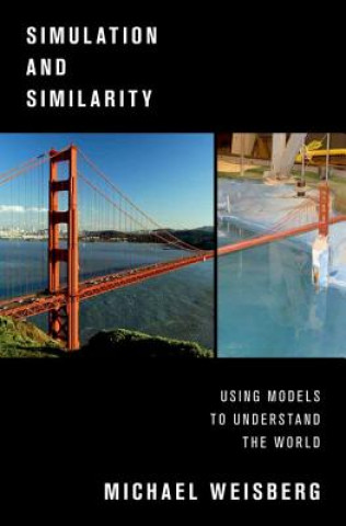 Simulation and Similarity