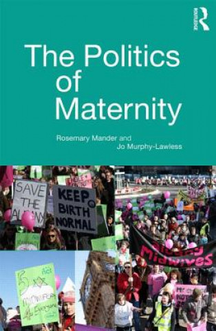 Politics of Maternity