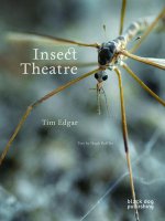 Insect Theatre