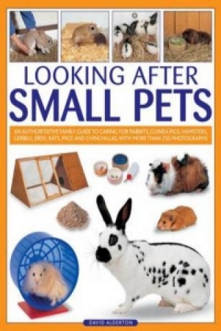 Looking After Small Pets