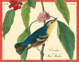 Audubon Warblers Keepsake Box