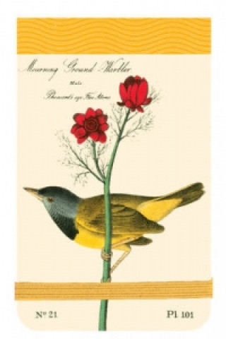 Audubon Warblers Mini Journal