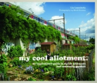 my cool allotment