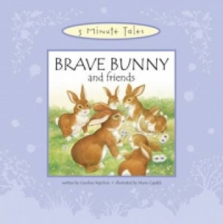 Brave Bunny and Friends