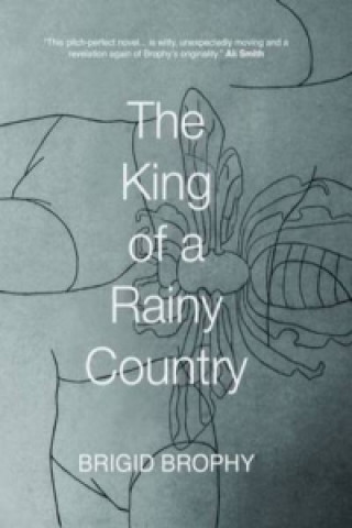 King of a Rainy Country