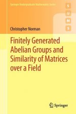 Finitely Generated Abelian Groups and Similarity of Matrices