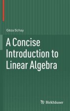 Concise Introduction to Linear Algebra