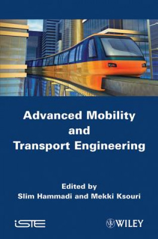 Multimodal Transport Systems