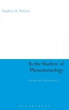 In the Shadow of Phenomenology