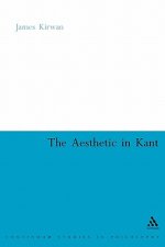 Aesthetic in Kant