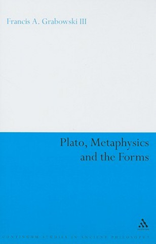 Plato, Metaphysics and the Forms