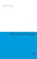 Irony of Heidegger