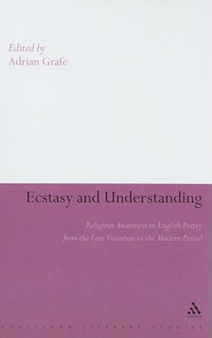 Ecstasy and Understanding