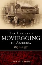 Perils of Moviegoing in America