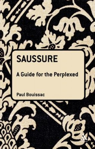 Saussure: A Guide For The Perplexed