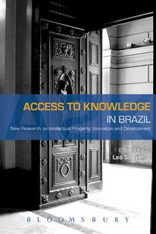 Access to Knowledge in Brazil