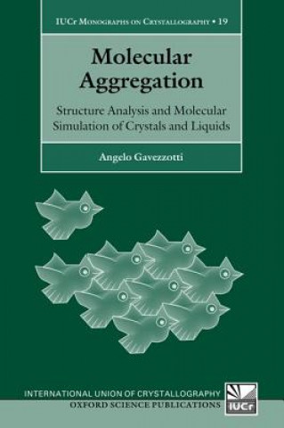 Molecular Aggregation