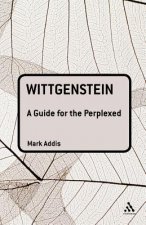Wittgenstein: A Guide for the Perplexed