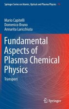 Fundamental Aspects of Plasma Chemical Physics