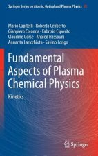 Fundamental Aspects of Plasma Chemical Physics