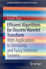 Efficient Algorithms for Discrete Wavelet Transform