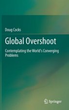 Global Overshoot