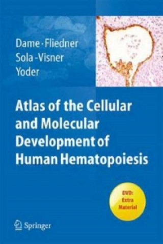 Atlas of the Cellular and Molecular Development of Human Hem
