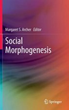 Social Morphogenesis