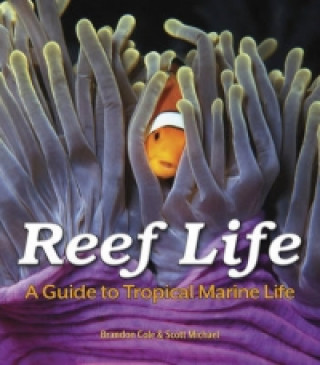 Reef Life: A Guide to Tropical Marine Life