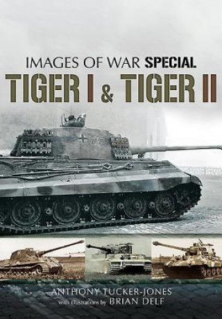 Tiger I and Tiger II
