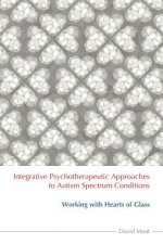 Integrative Psychotherapeutic Approaches to Autism Spectrum Conditions