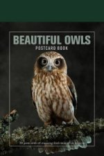 Beautiful Owls Postcard Book